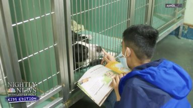 Inspiring Kids: A Paw-Some Mission To Help Dogs