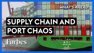 Supply Chain & Port Congestion Chaos! The Real Reason For The Backup - Steve Forbes | Forbes